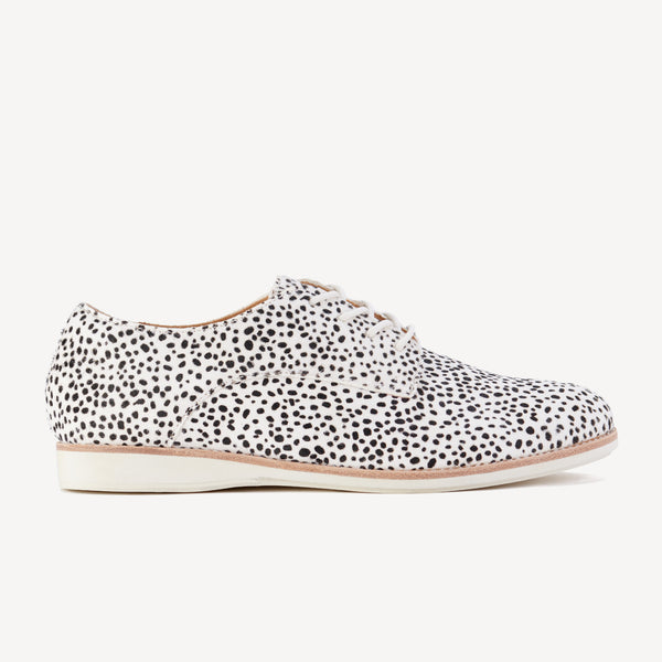 Derby Snow Leopard