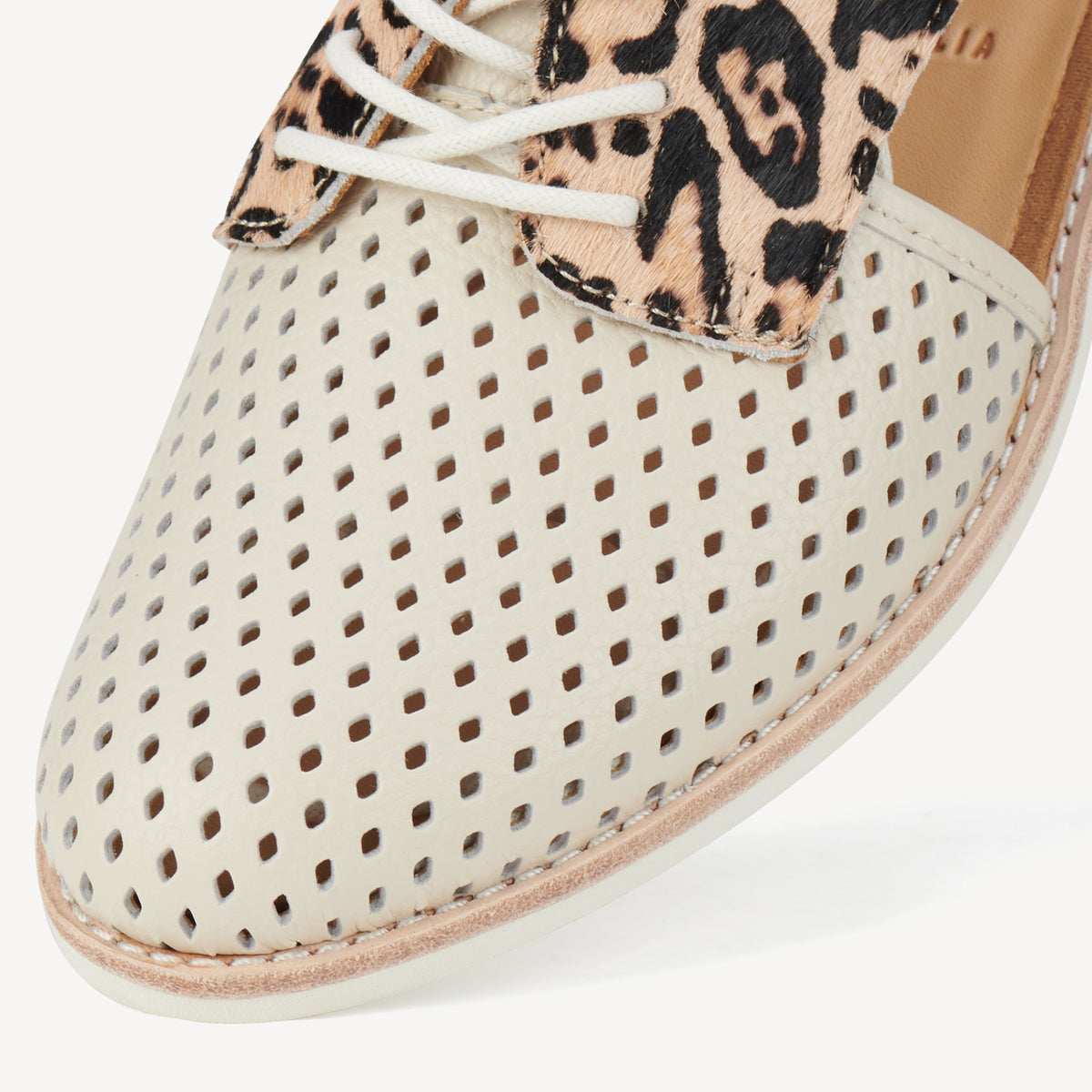 Sidecut Punch Bone/Leopard