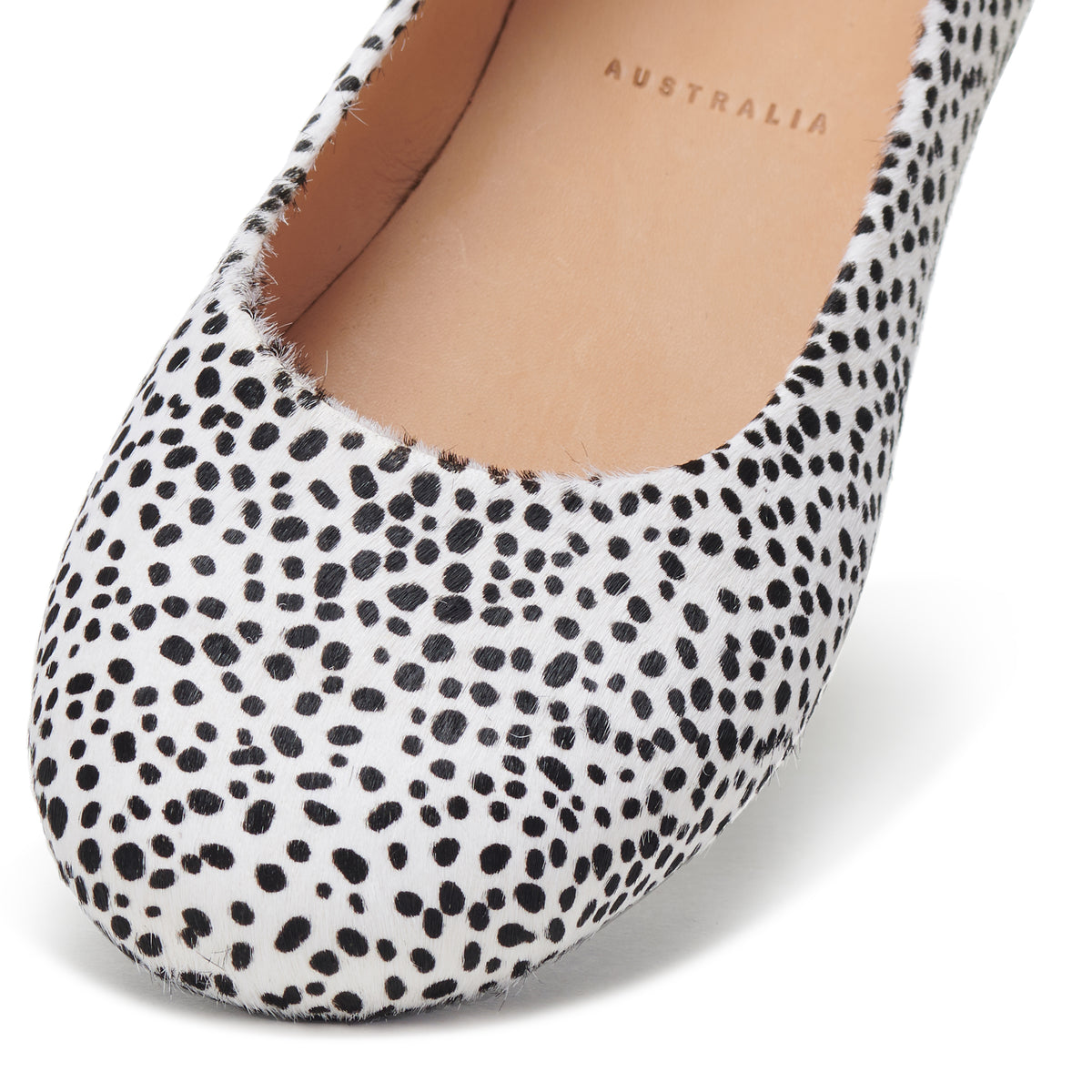 Ballet Snow Leopard