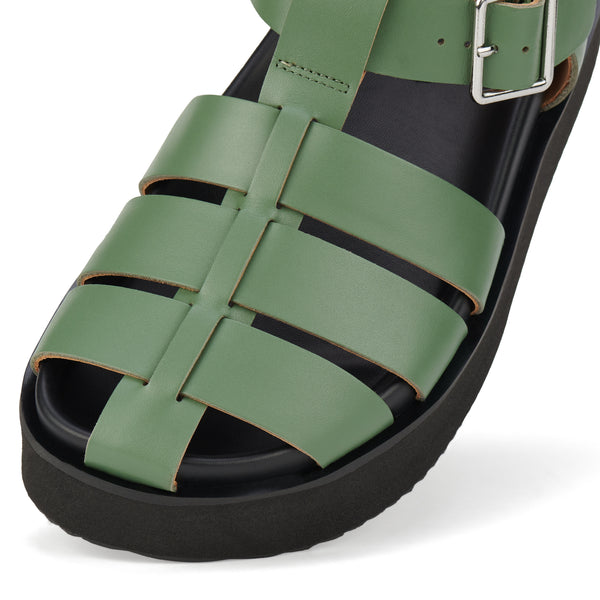 Ace Fisherman Fern/Black