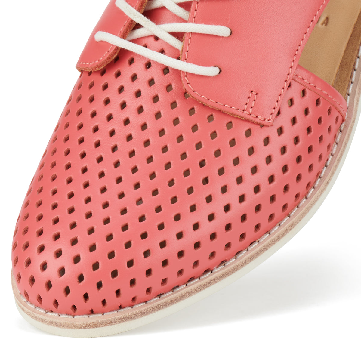 Sidecut Punch Coral Paradise