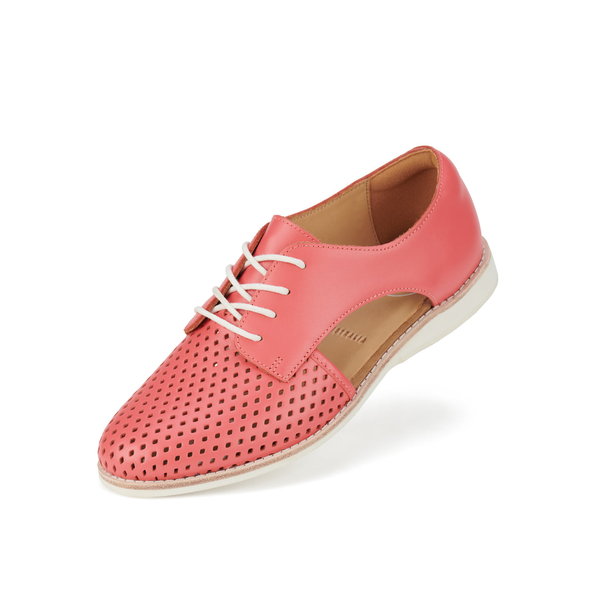 Sidecut Punch Coral Paradise