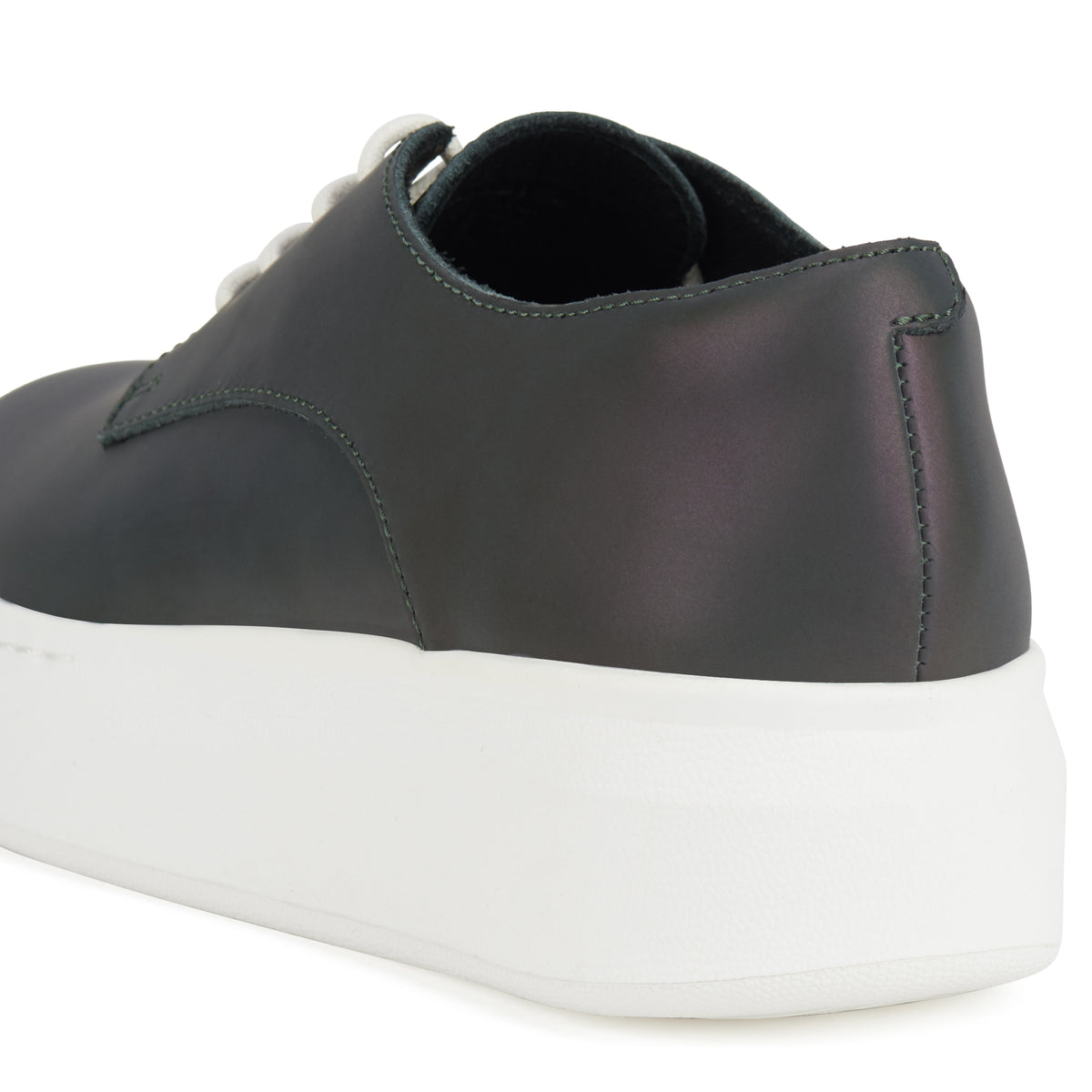 Derby City Chameleon