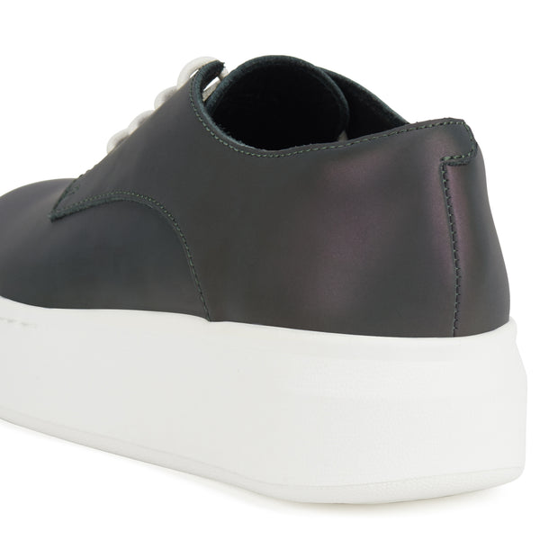 Derby City Chameleon