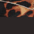Dark Camel Leopard / Black