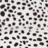 Snow Leopard