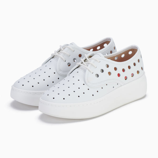 Derby City Circle White